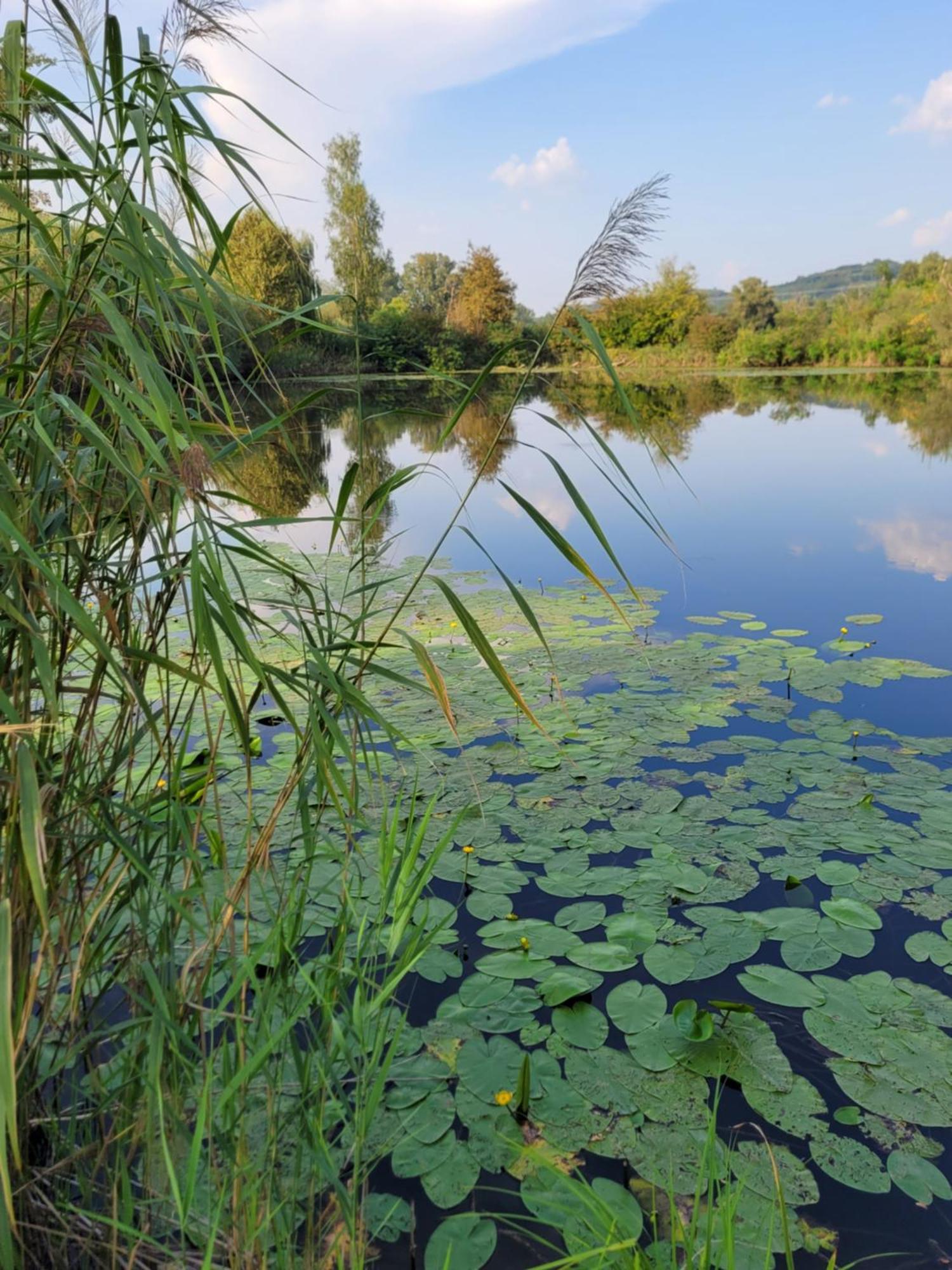 Manipura Villa Muraszemenye Bagian luar foto