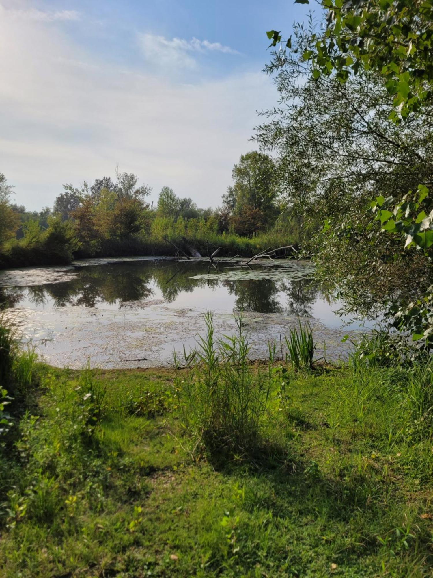 Manipura Villa Muraszemenye Bagian luar foto