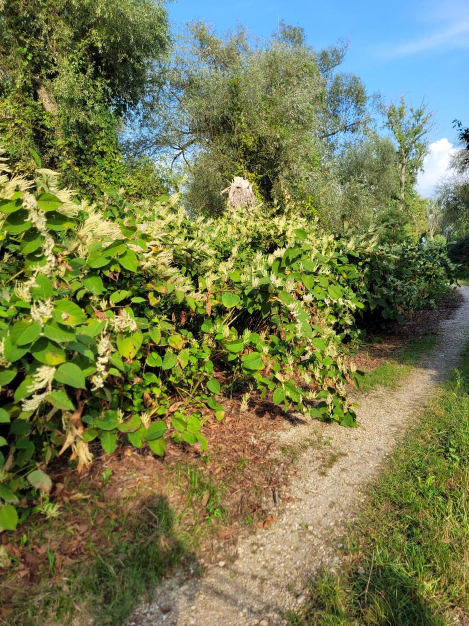 Manipura Villa Muraszemenye Bagian luar foto