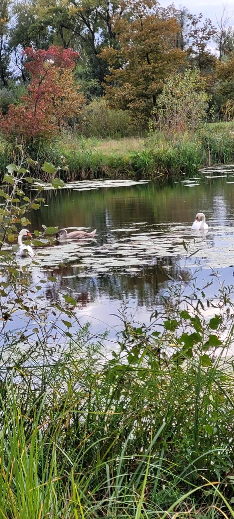 Manipura Villa Muraszemenye Bagian luar foto