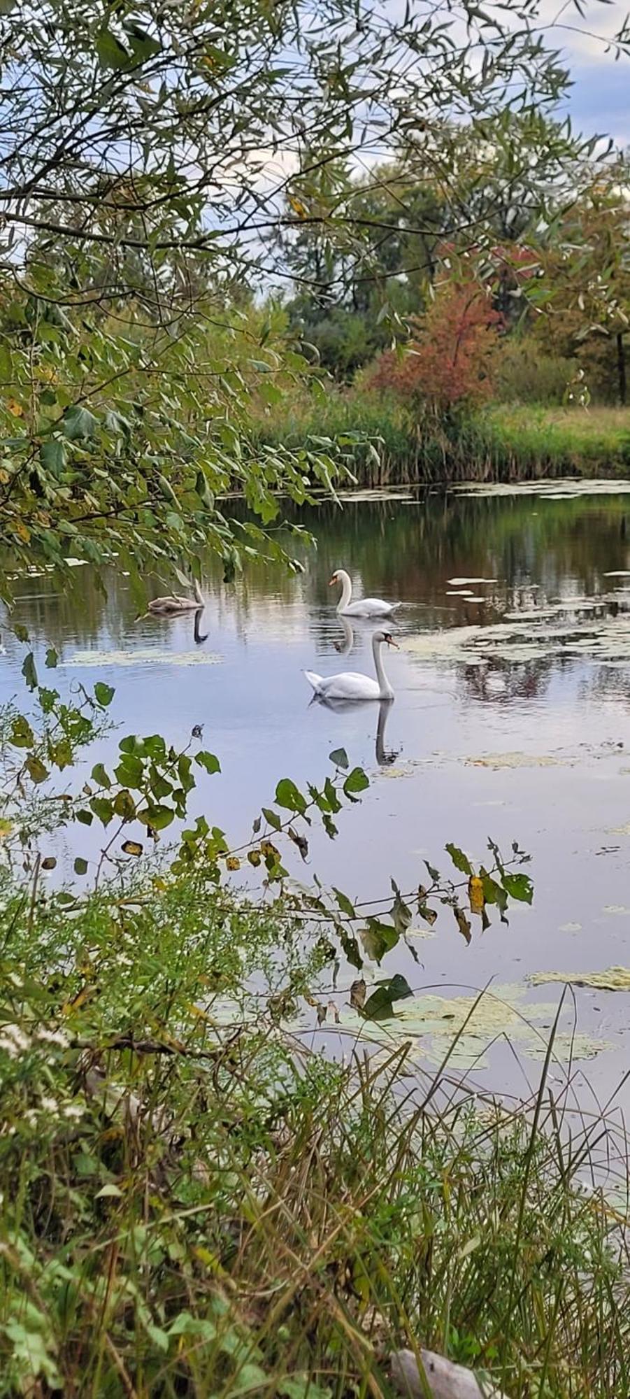 Manipura Villa Muraszemenye Bagian luar foto