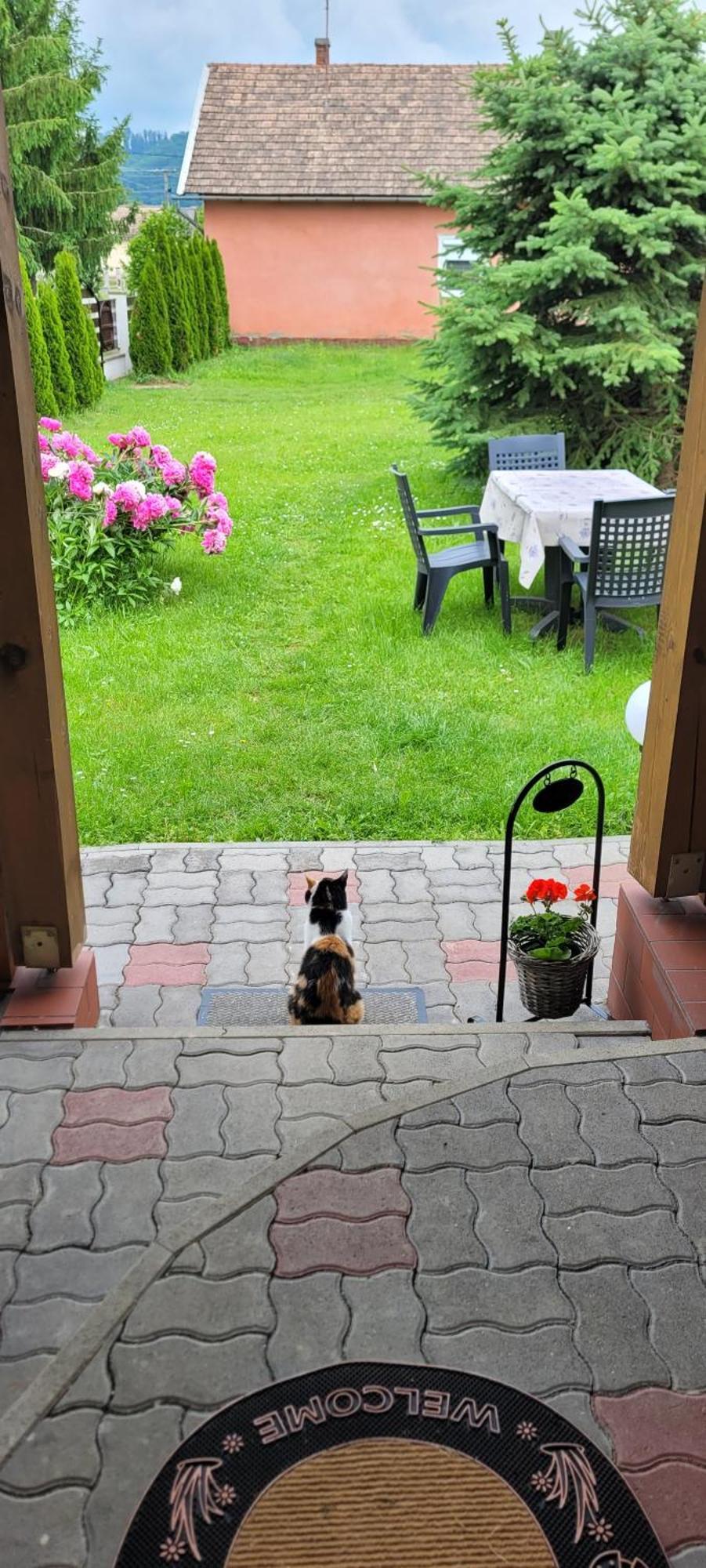 Manipura Villa Muraszemenye Bagian luar foto